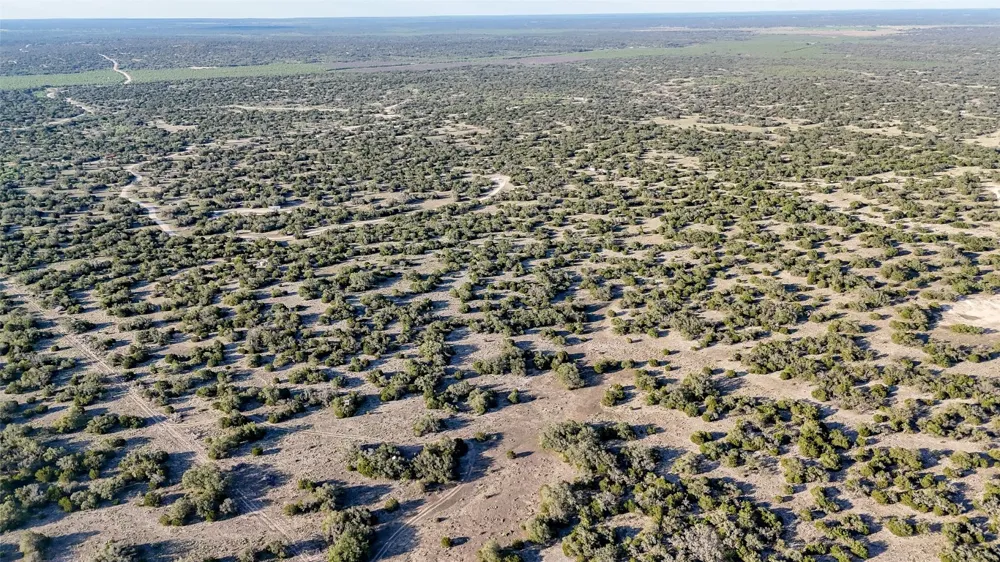 1595 Blackbuck Drive E Eldorado, TX 76935