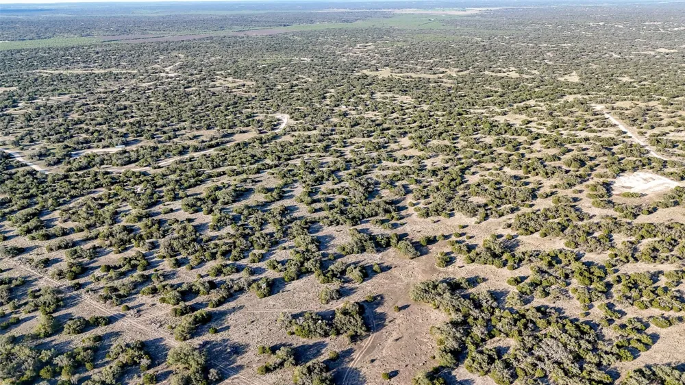 1595 Blackbuck Drive E Eldorado, TX 76935