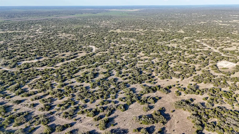 1595 Blackbuck Drive E Eldorado, TX 76935