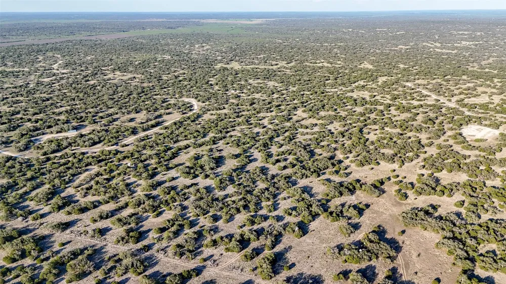 1595 Blackbuck Drive E Eldorado, TX 76935