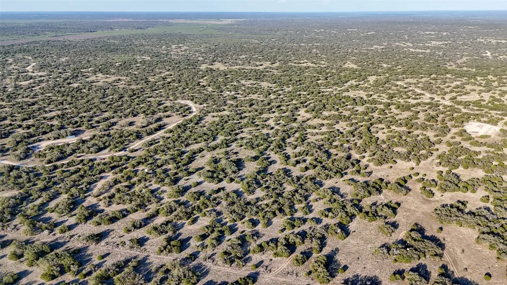 1595 Blackbuck Drive E Eldorado, TX 76935