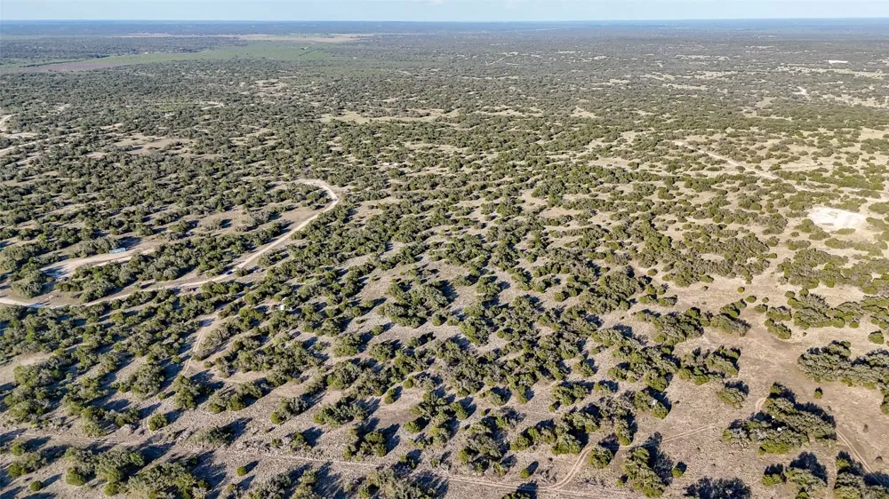 1595 Blackbuck Drive E Eldorado, TX 76935