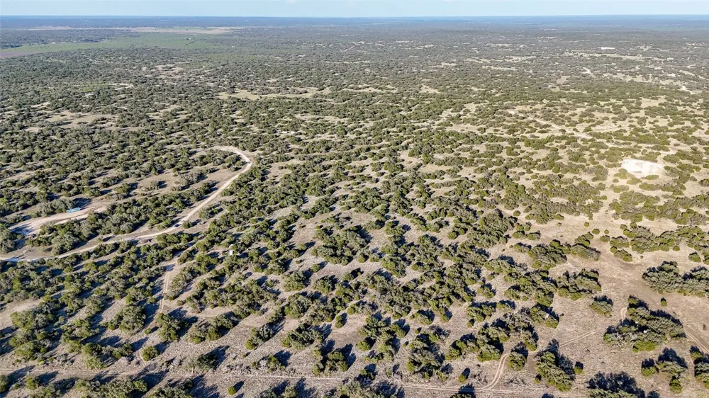 1595 Blackbuck Drive E Eldorado, TX 76935
