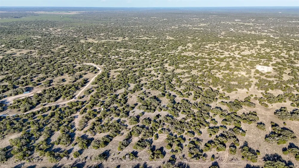 1595 Blackbuck Drive E Eldorado, TX 76935