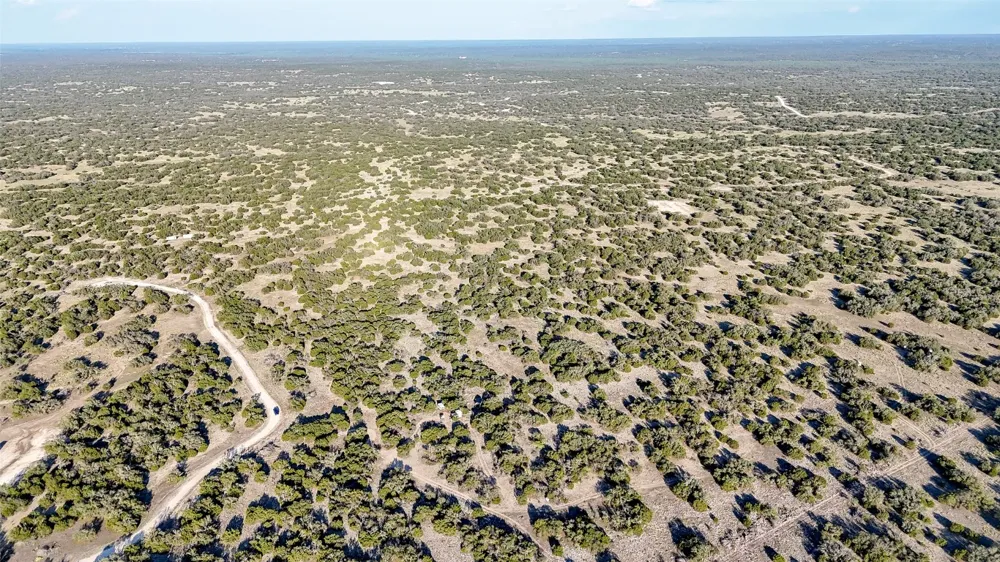 1595 Blackbuck Drive E Eldorado, TX 76935