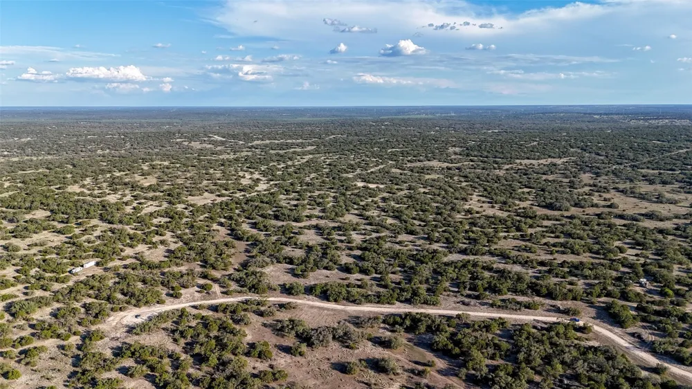 1595 Blackbuck Drive E Eldorado, TX 76935