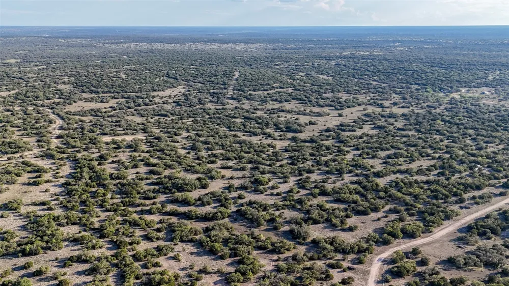 1595 Blackbuck Drive E Eldorado, TX 76935