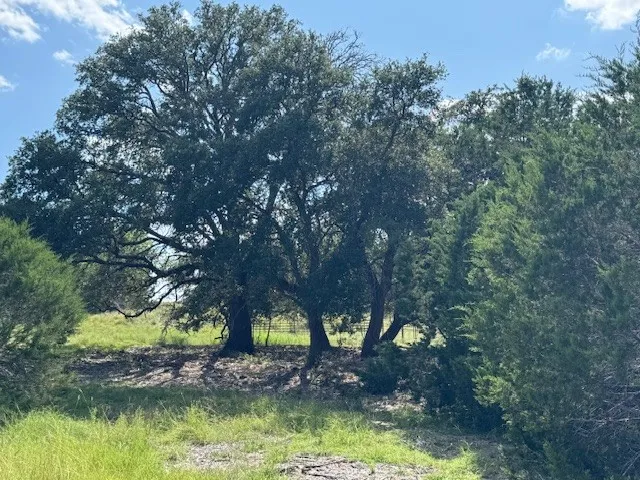 22 Rifle Ridge Burnet, TX 78611