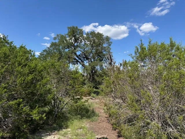 22 Rifle Ridge Burnet, TX 78611