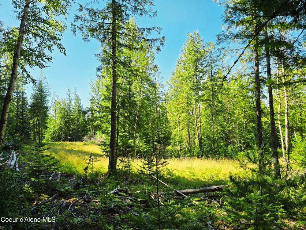 Box Canyon 5 acres Sandpoint, ID 83864