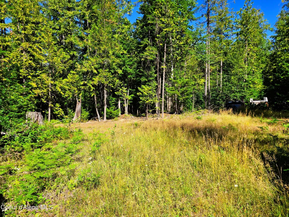 Box Canyon 5 acres Sandpoint, ID 83864