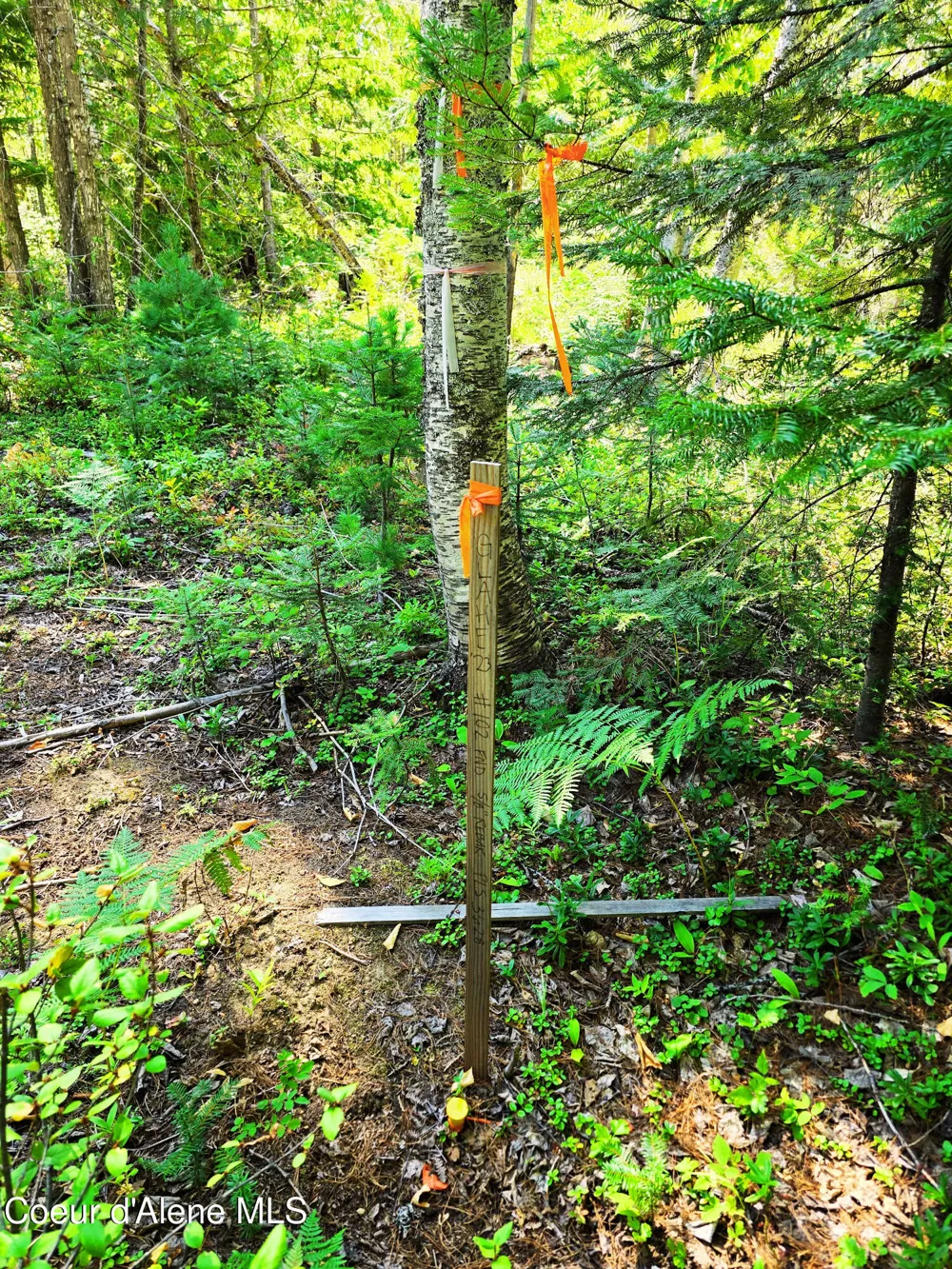Box Canyon 5 acres Sandpoint, ID 83864