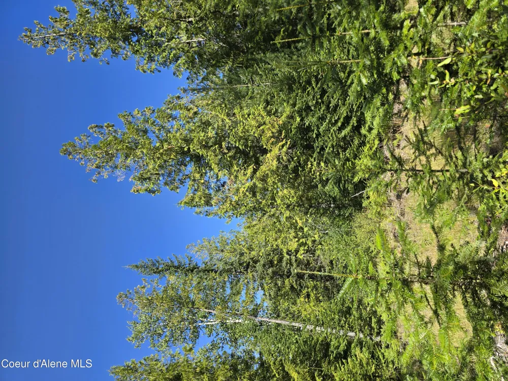 Box Canyon 5 acres Sandpoint, ID 83864