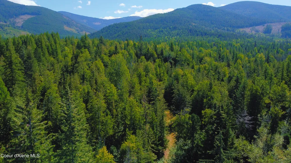 Box Canyon 5 acres Sandpoint, ID 83864