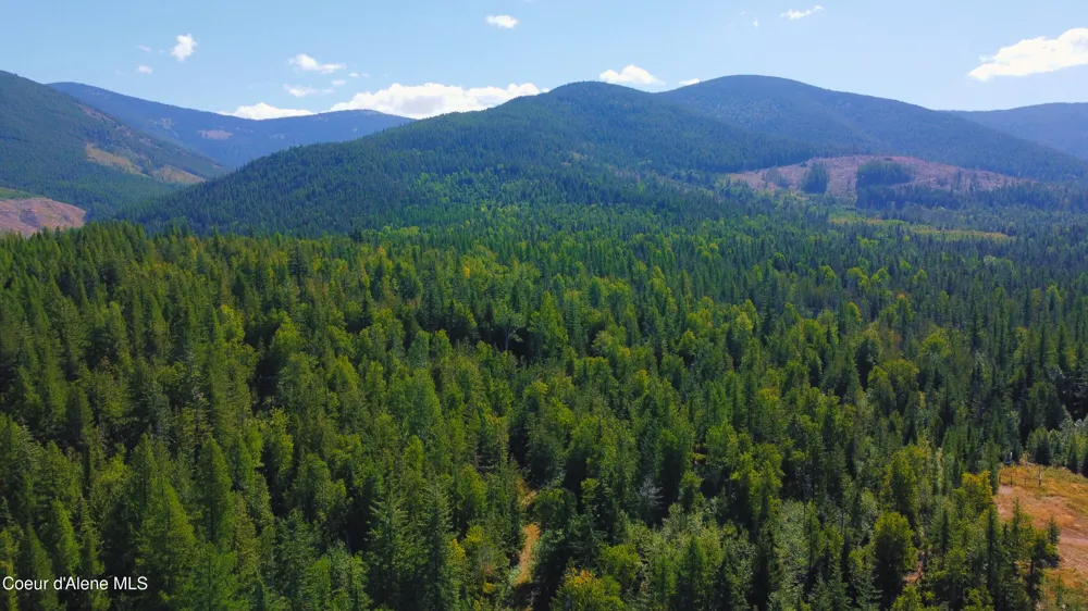 Box Canyon 5 acres Sandpoint, ID 83864