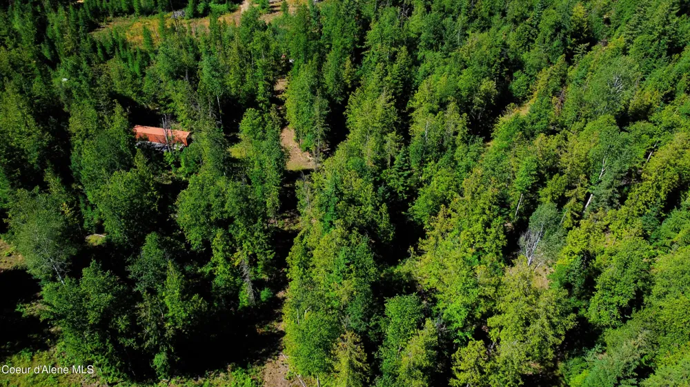 Box Canyon 5 acres Sandpoint, ID 83864