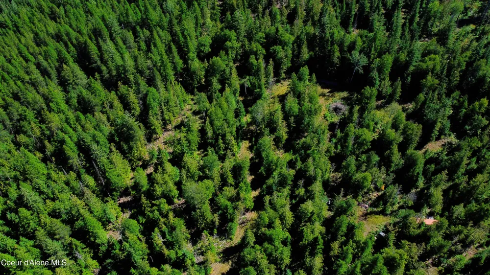 Box Canyon 5 acres Sandpoint, ID 83864
