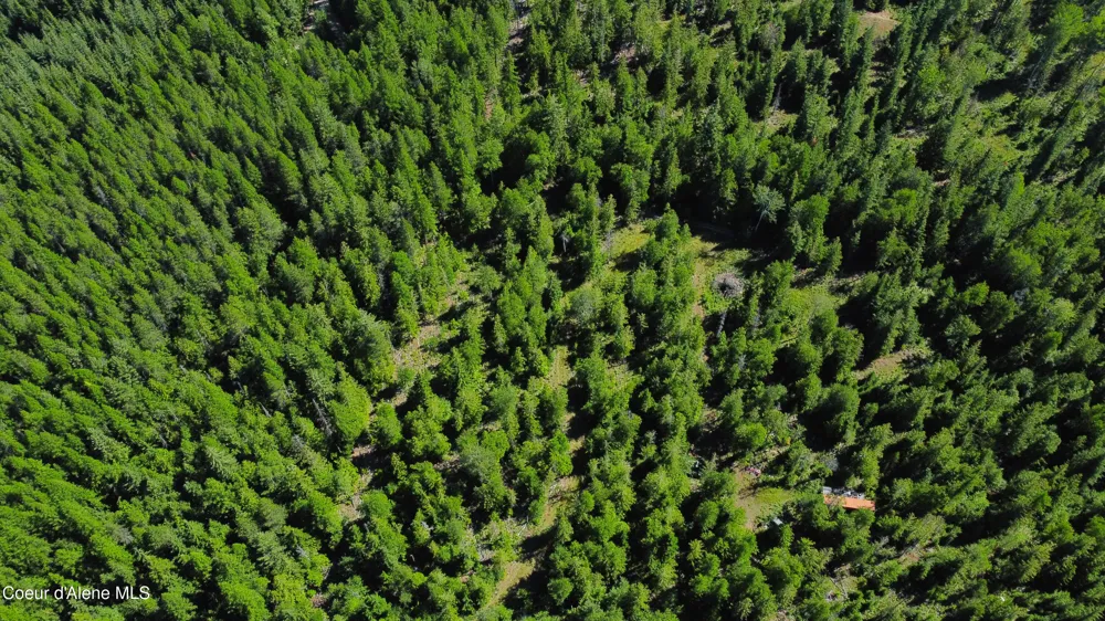 Box Canyon 5 acres Sandpoint, ID 83864
