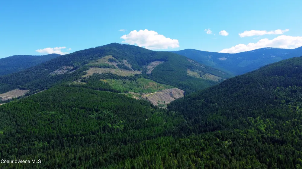 Box Canyon 5 acres Sandpoint, ID 83864