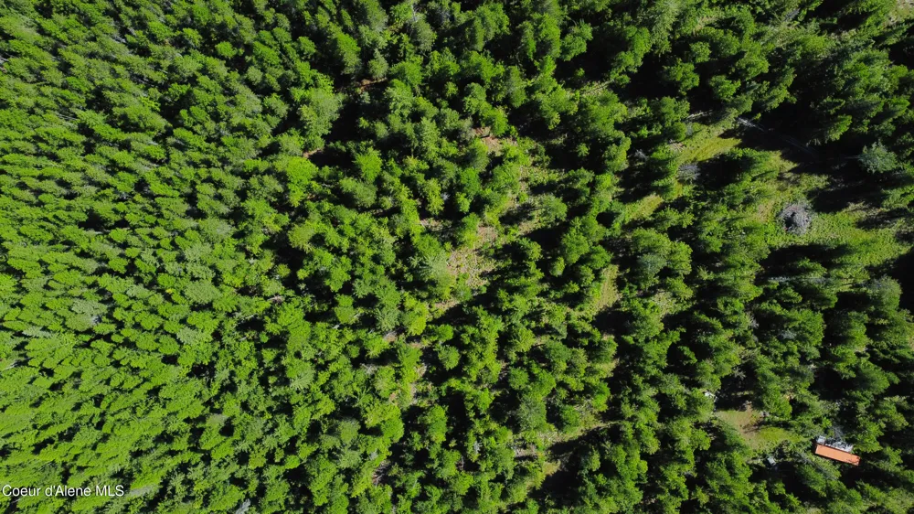 Box Canyon 5 acres Sandpoint, ID 83864