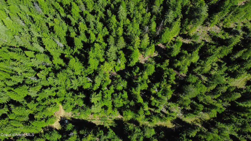 Box Canyon 5 acres Sandpoint, ID 83864