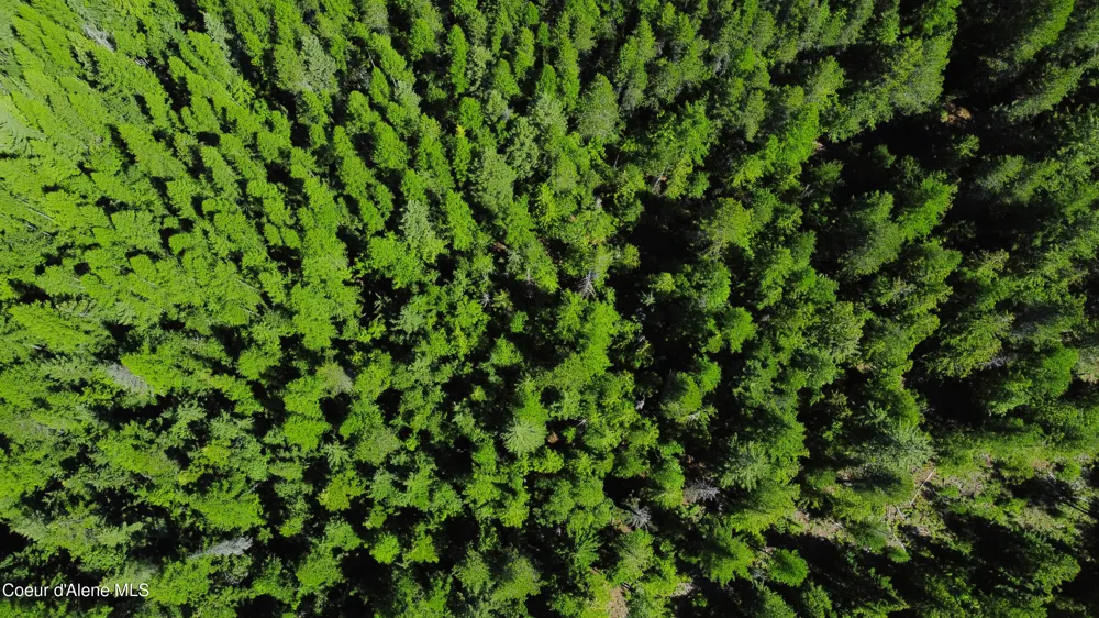 Box Canyon 5 acres Sandpoint, ID 83864