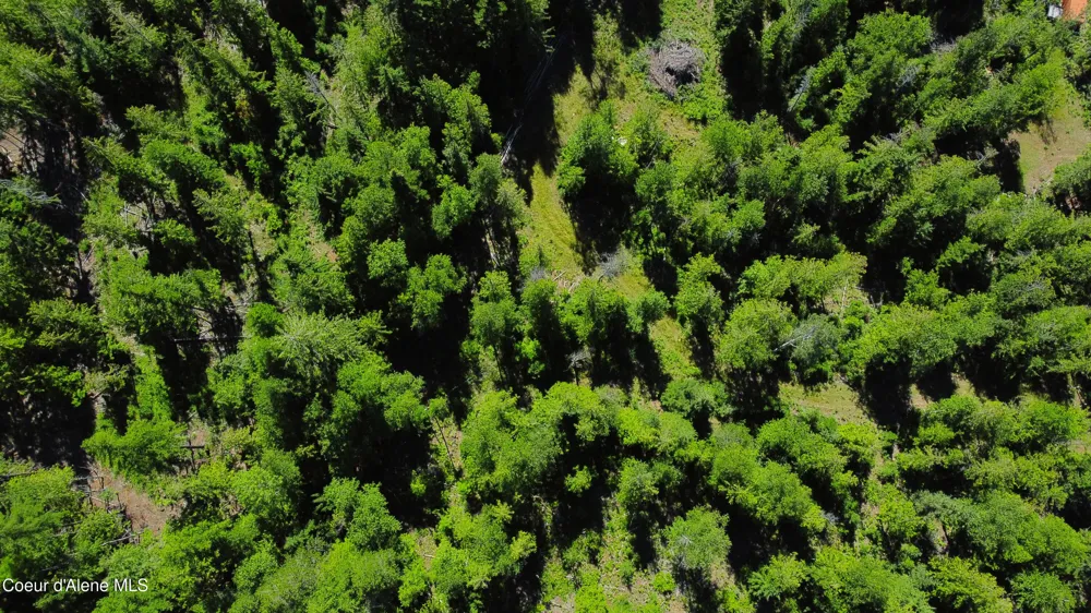 Box Canyon 5 acres Sandpoint, ID 83864