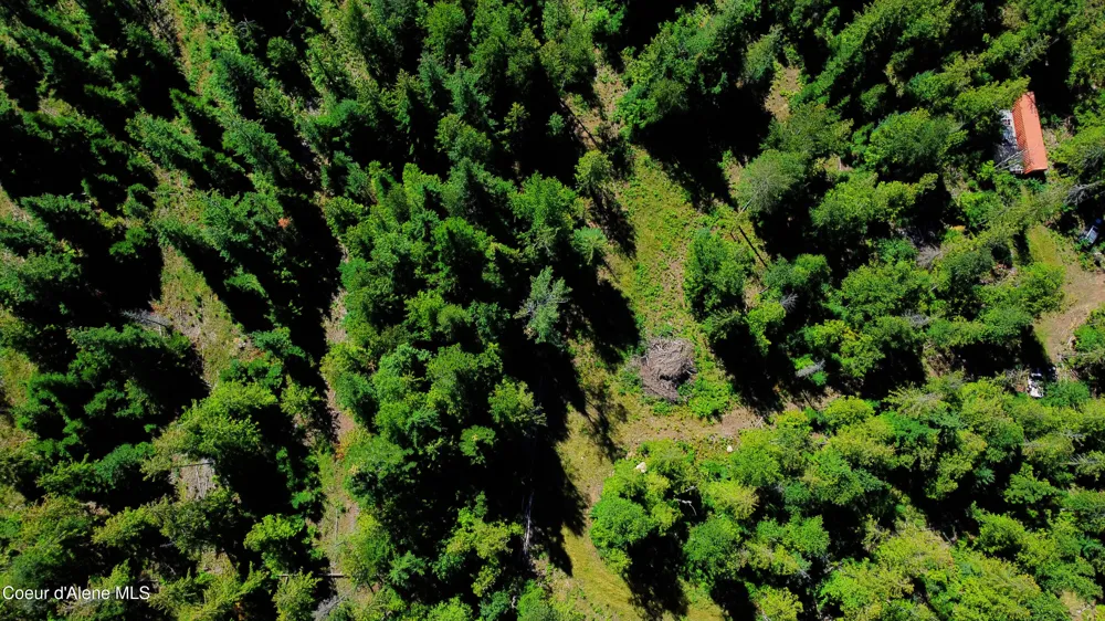 Box Canyon 5 acres Sandpoint, ID 83864