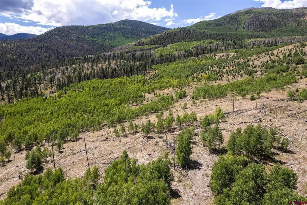 655 Elk Ct South Fork, CO 81154