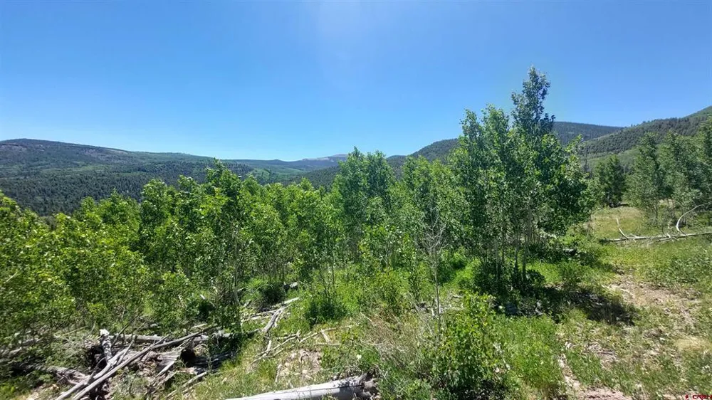 655 Elk Ct South Fork, CO 81154