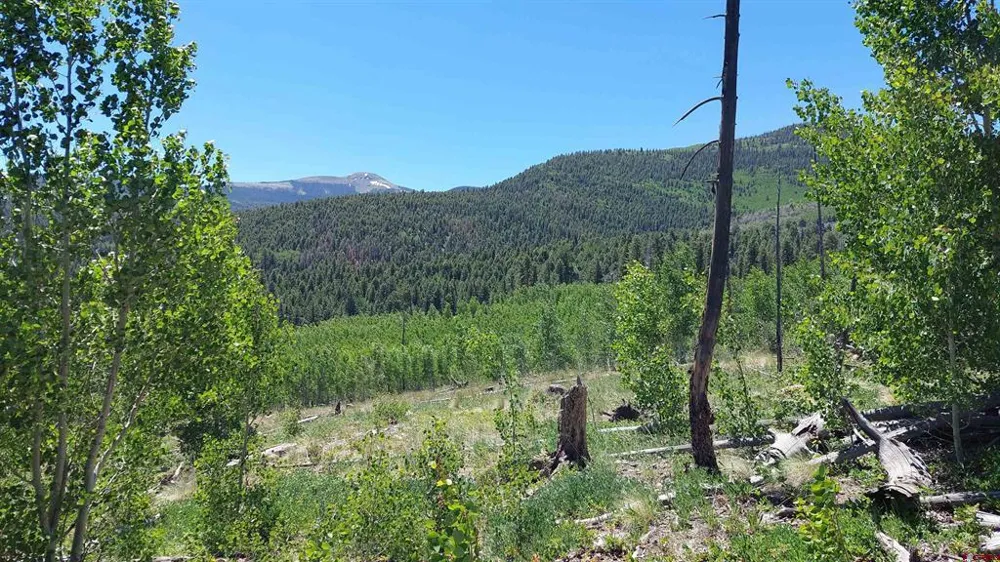 655 Elk Ct South Fork, CO 81154