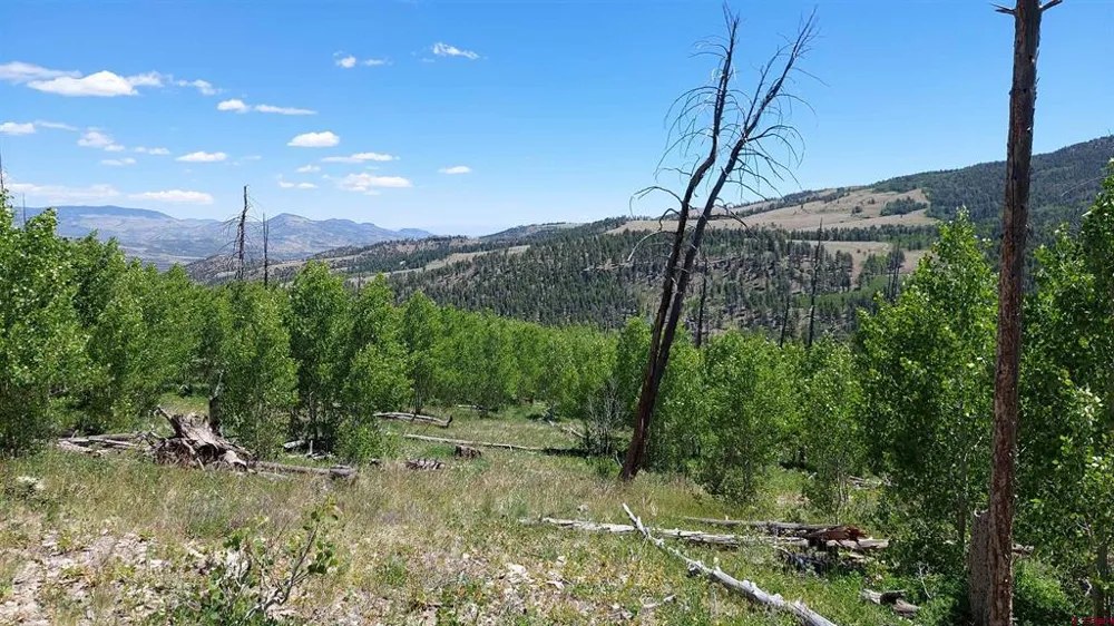 655 Elk Ct South Fork, CO 81154