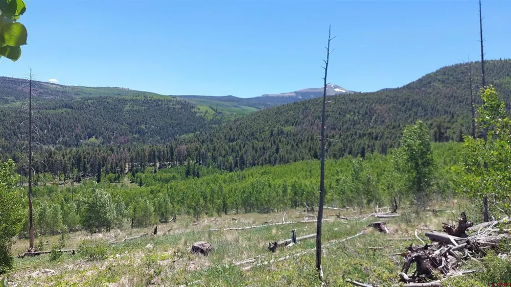 655 Elk Ct South Fork, CO 81154