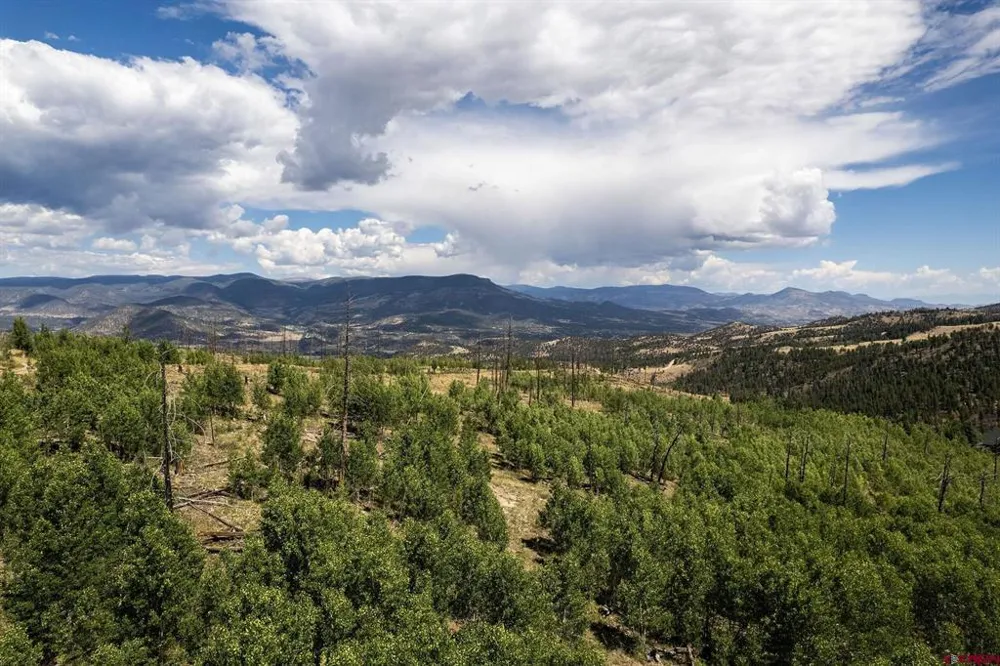 655 Elk Ct South Fork, CO 81154