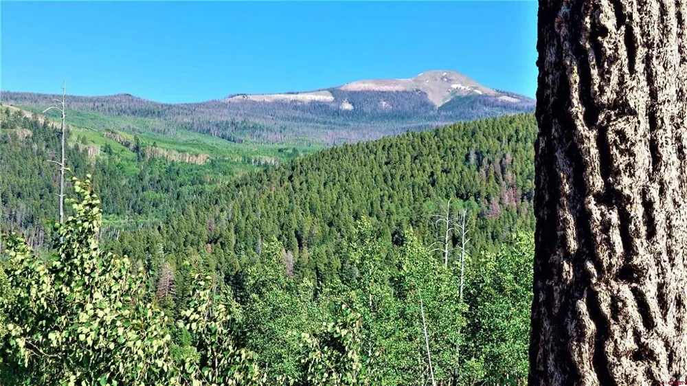 655 Elk Ct South Fork, CO 81154