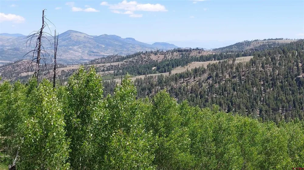 655 Elk Ct South Fork, CO 81154