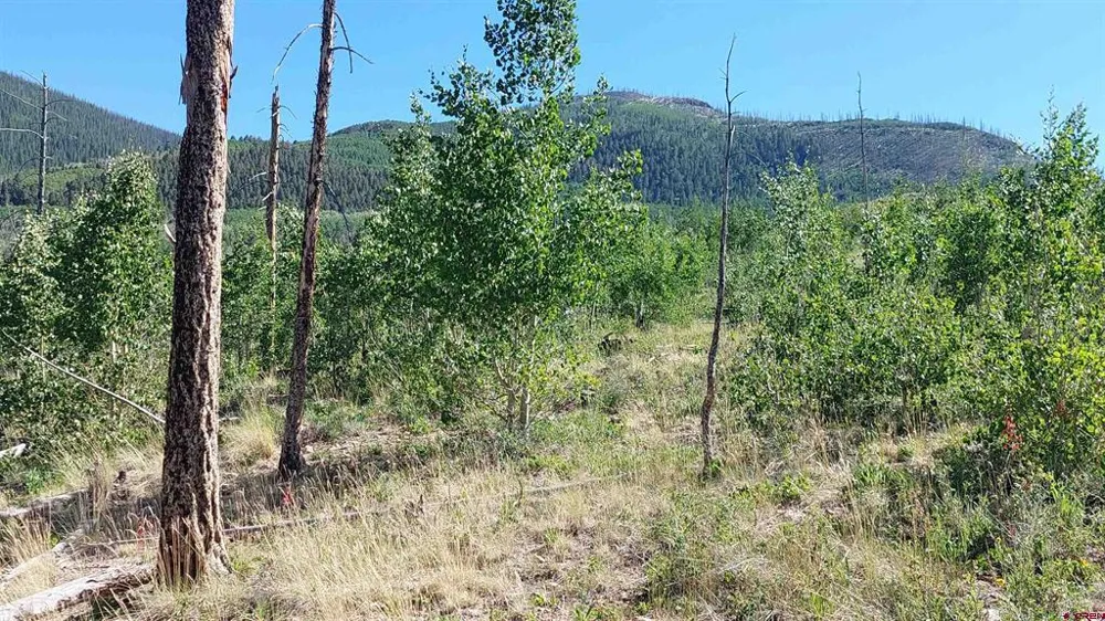 655 Elk Ct South Fork, CO 81154