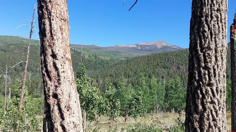 655 Elk Ct South Fork, CO 81154