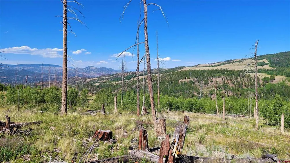 655 Elk Ct South Fork, CO 81154