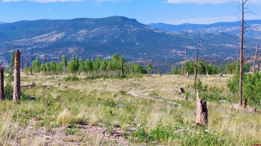 655 Elk Ct South Fork, CO 81154