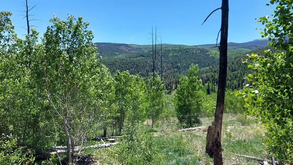 655 Elk Ct South Fork, CO 81154