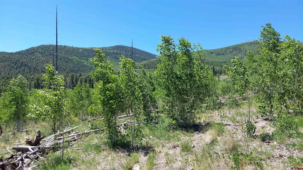 655 Elk Ct South Fork, CO 81154