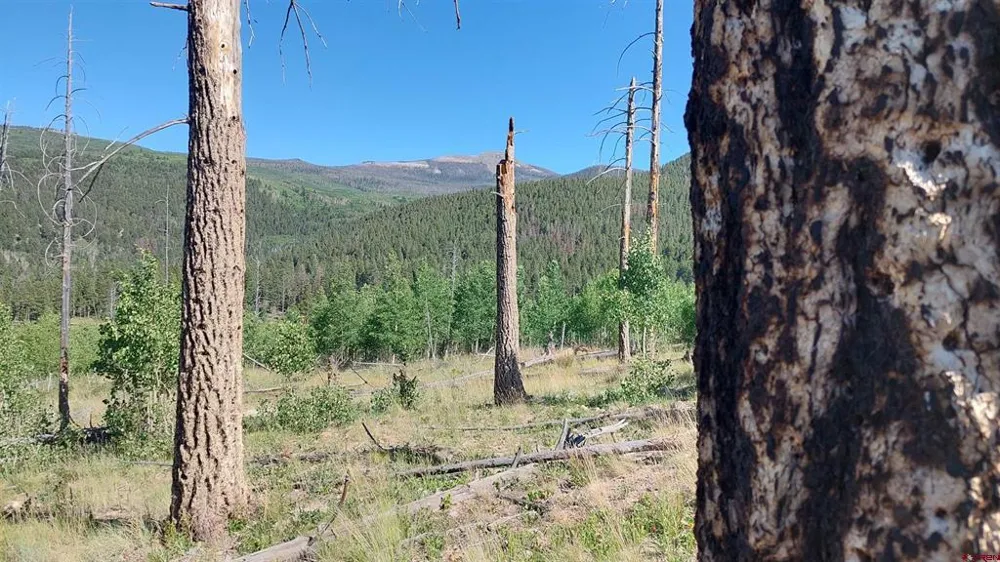 655 Elk Ct South Fork, CO 81154