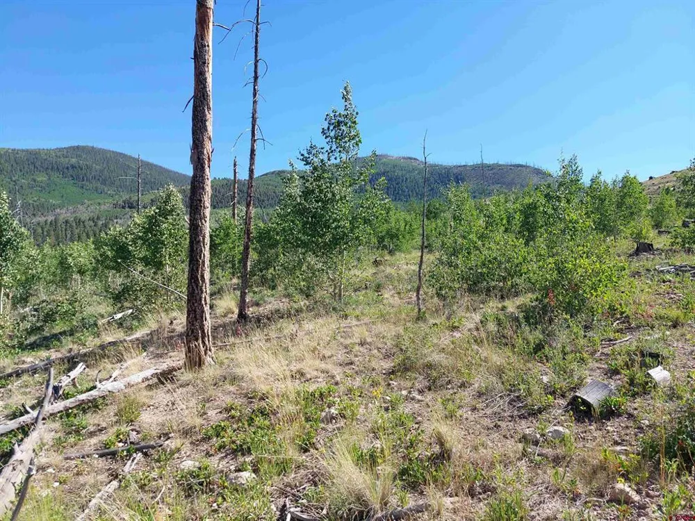 655 Elk Ct South Fork, CO 81154