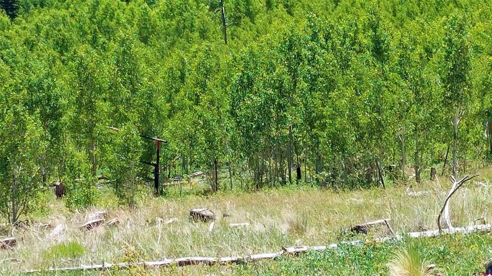 655 Elk Ct South Fork, CO 81154
