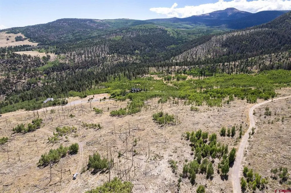 655 Elk Ct South Fork, CO 81154