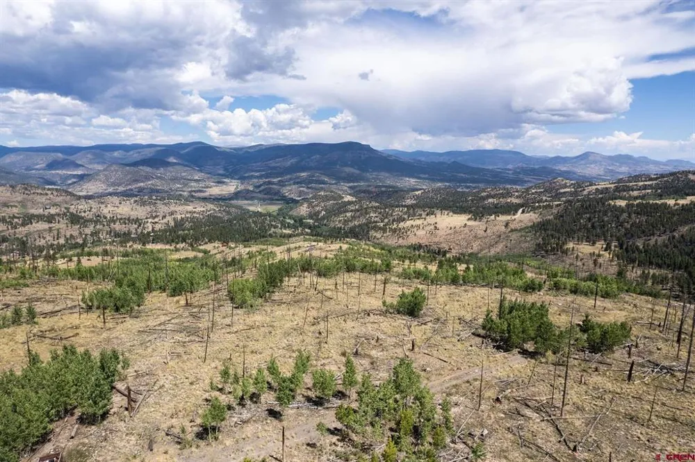 655 Elk Ct South Fork, CO 81154