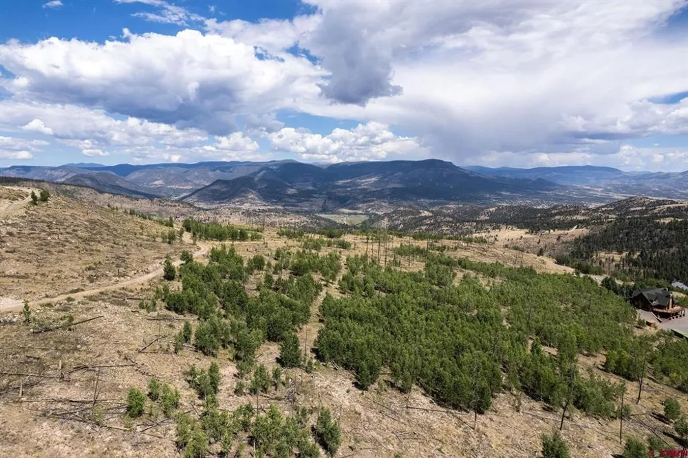 655 Elk Ct South Fork, CO 81154