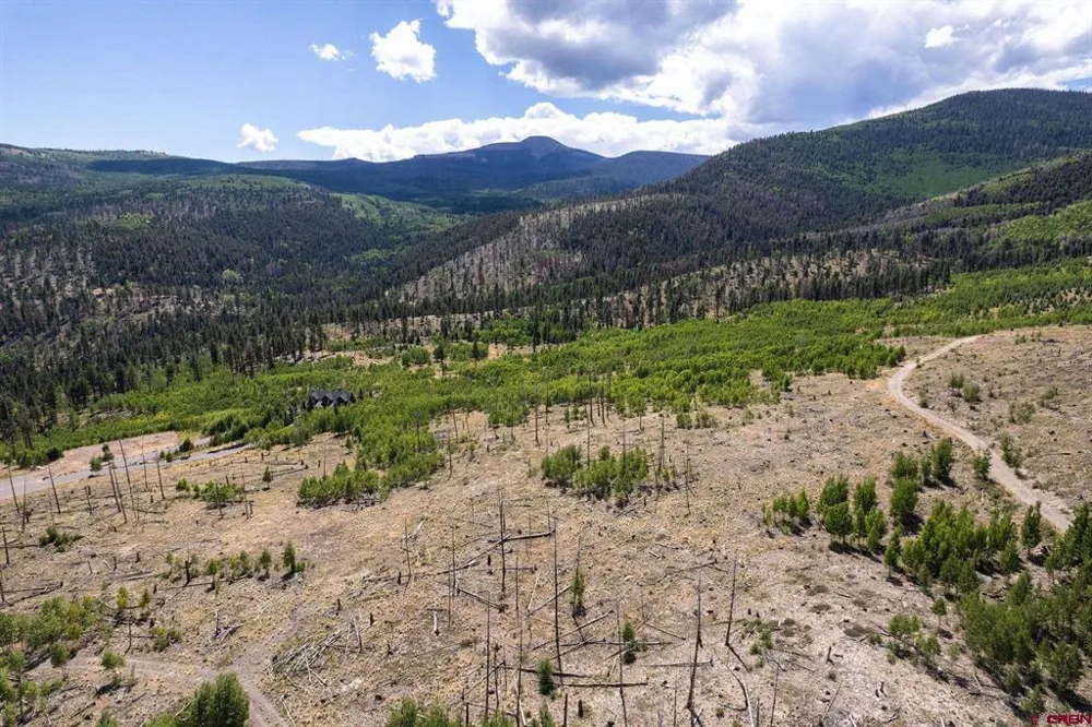 655 Elk Ct South Fork, CO 81154
