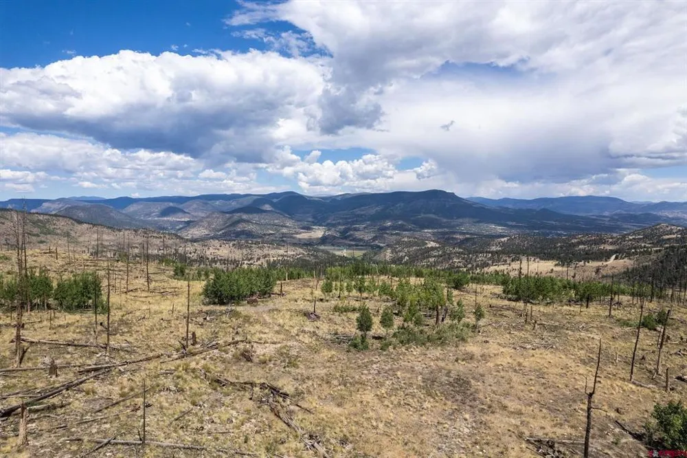 655 Elk Ct South Fork, CO 81154